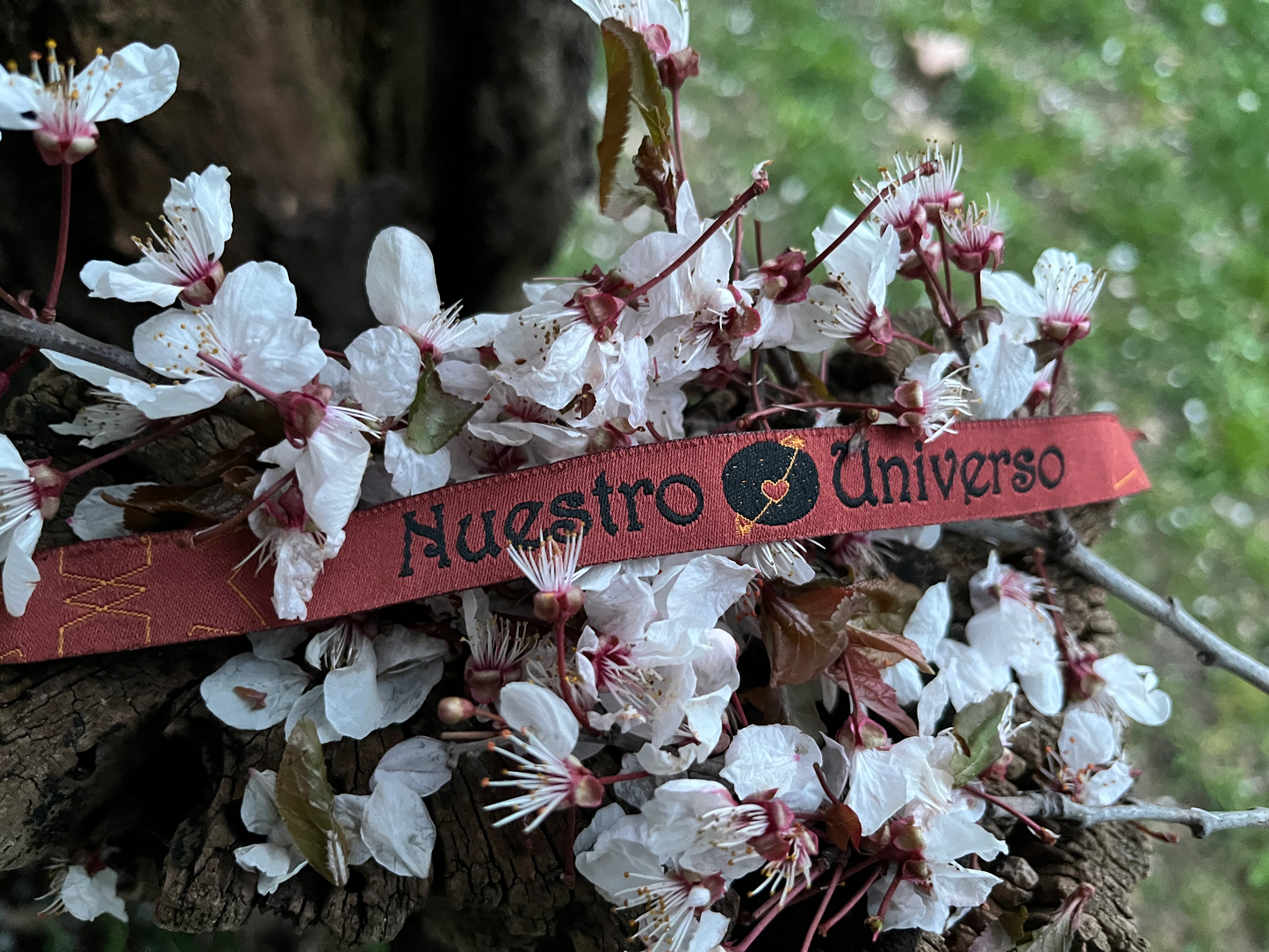 Pulseras Nuestro Universo